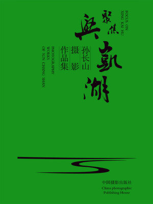 cover image of 聚焦兴凯湖